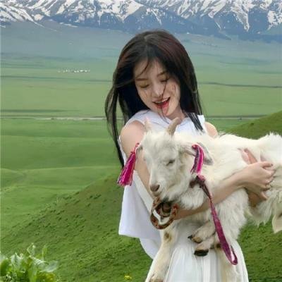 凤舞龙翔